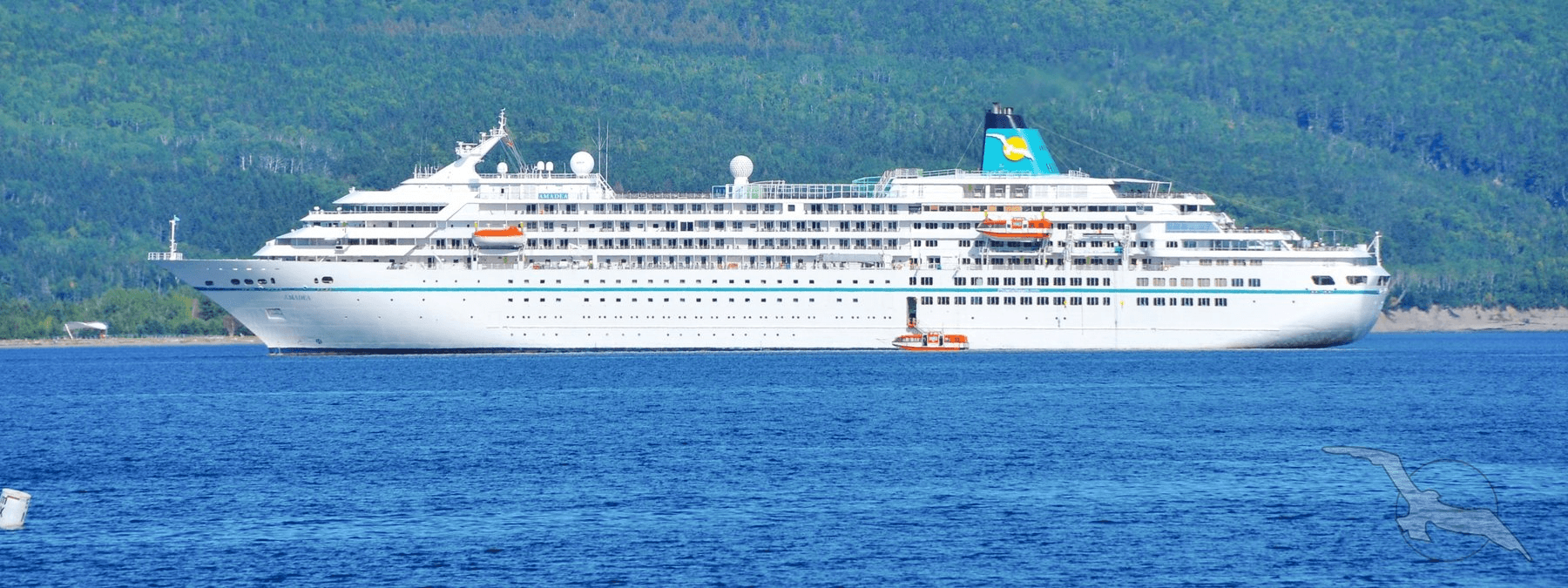 Amadea