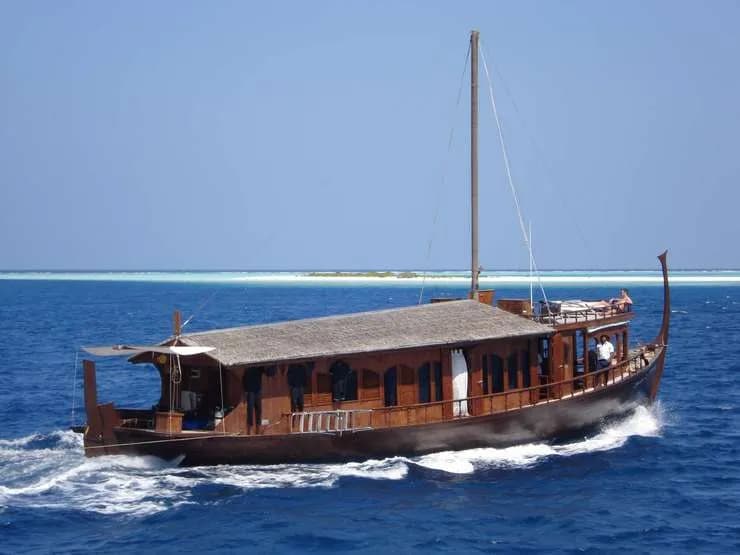 Dhoni Stella 2
