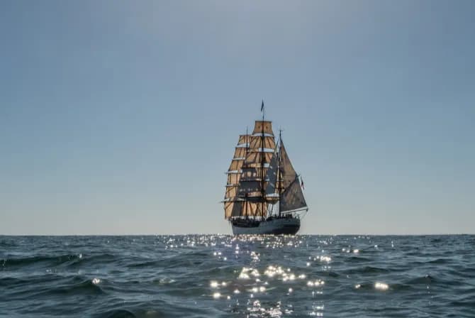 Bark Europa