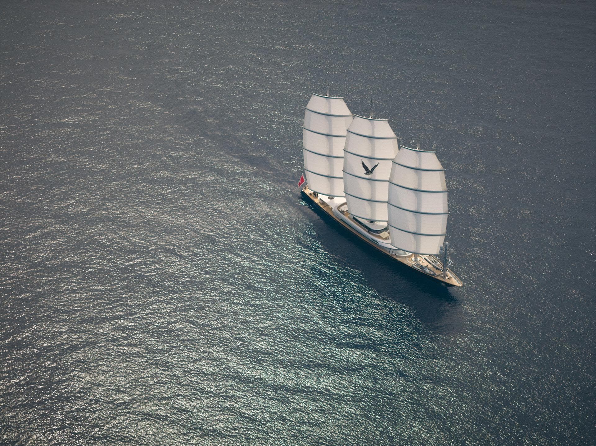 Maltese Falcon
