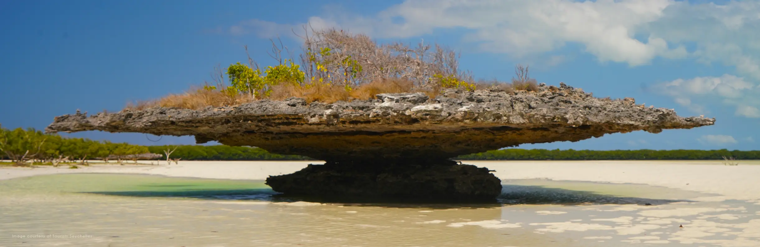 Aldabra