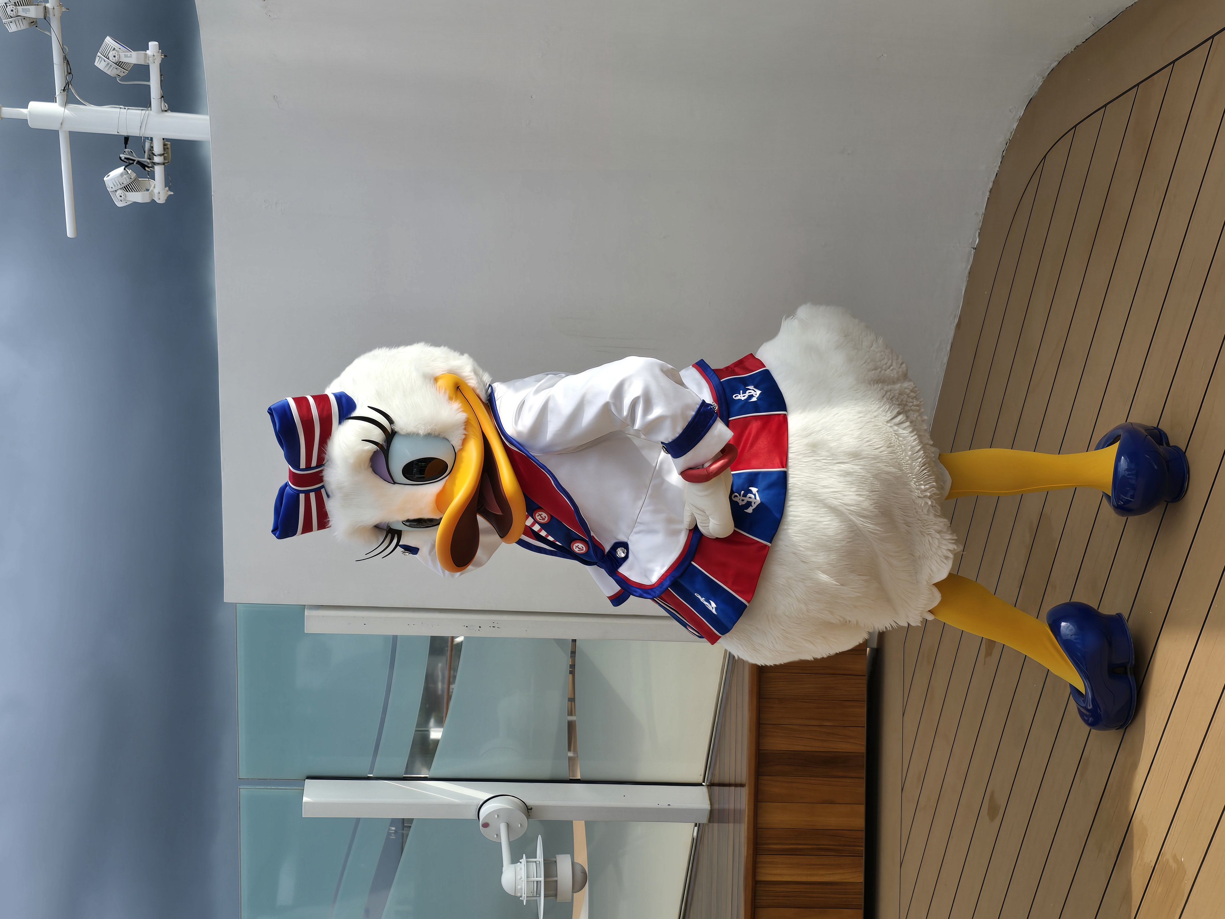 Animation on board Disney Dream