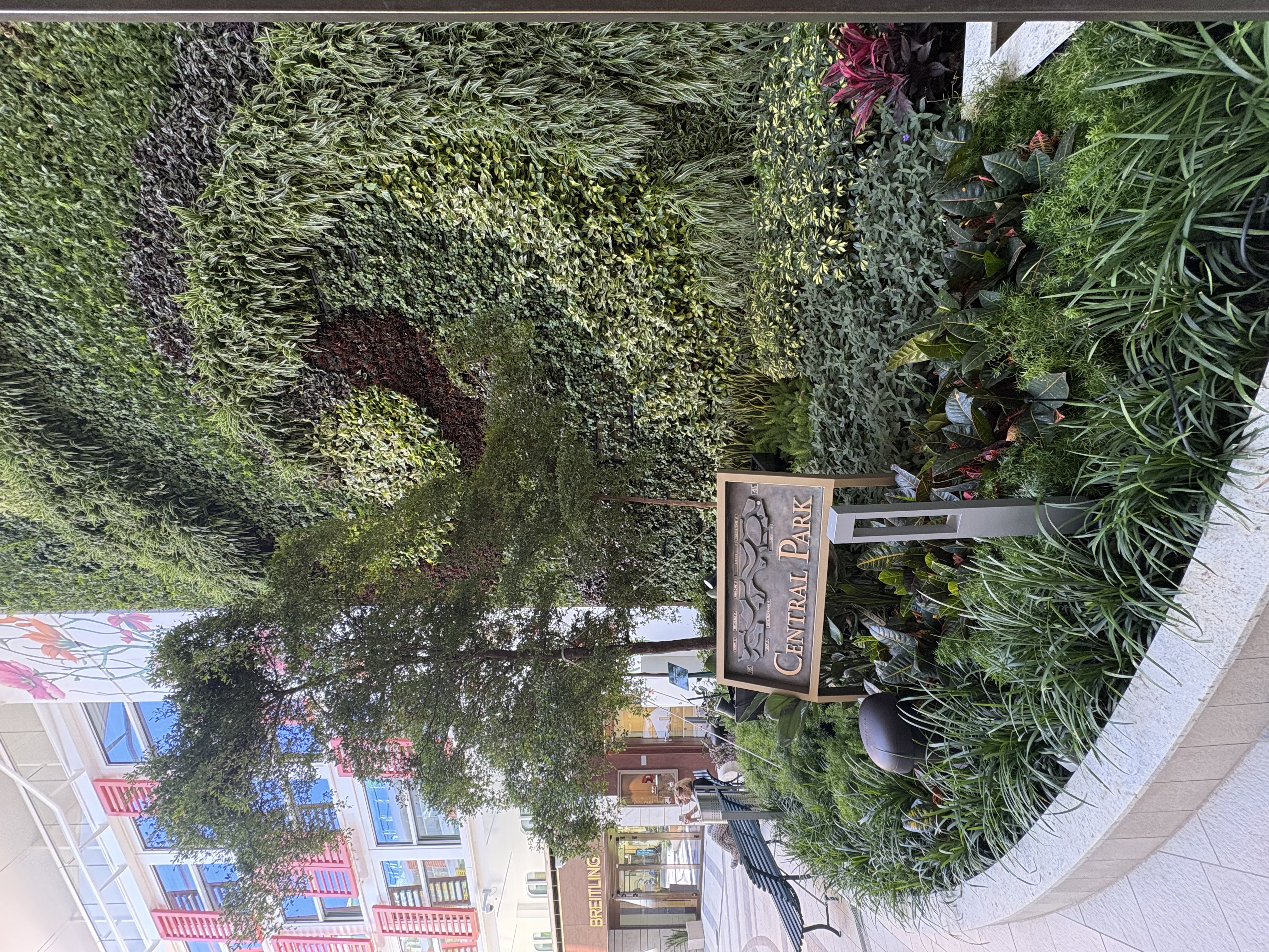 Central Park