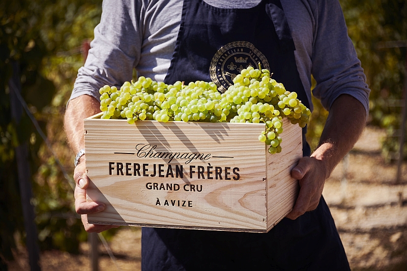 Champagne From Frerejean Frères 8