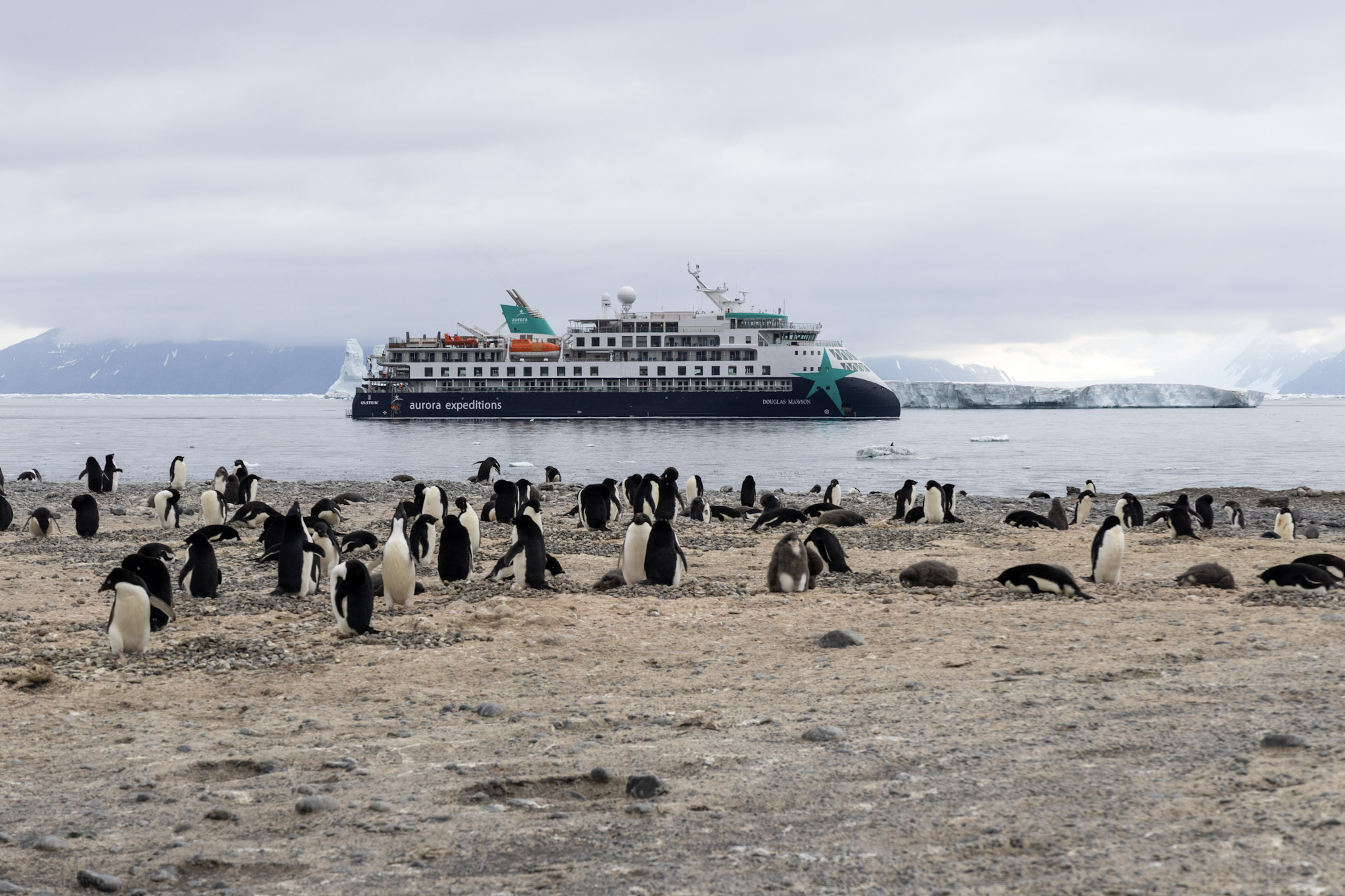 Douglas Mawson, Cape Adare, Antarctica