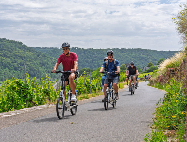Tour en bicicleta