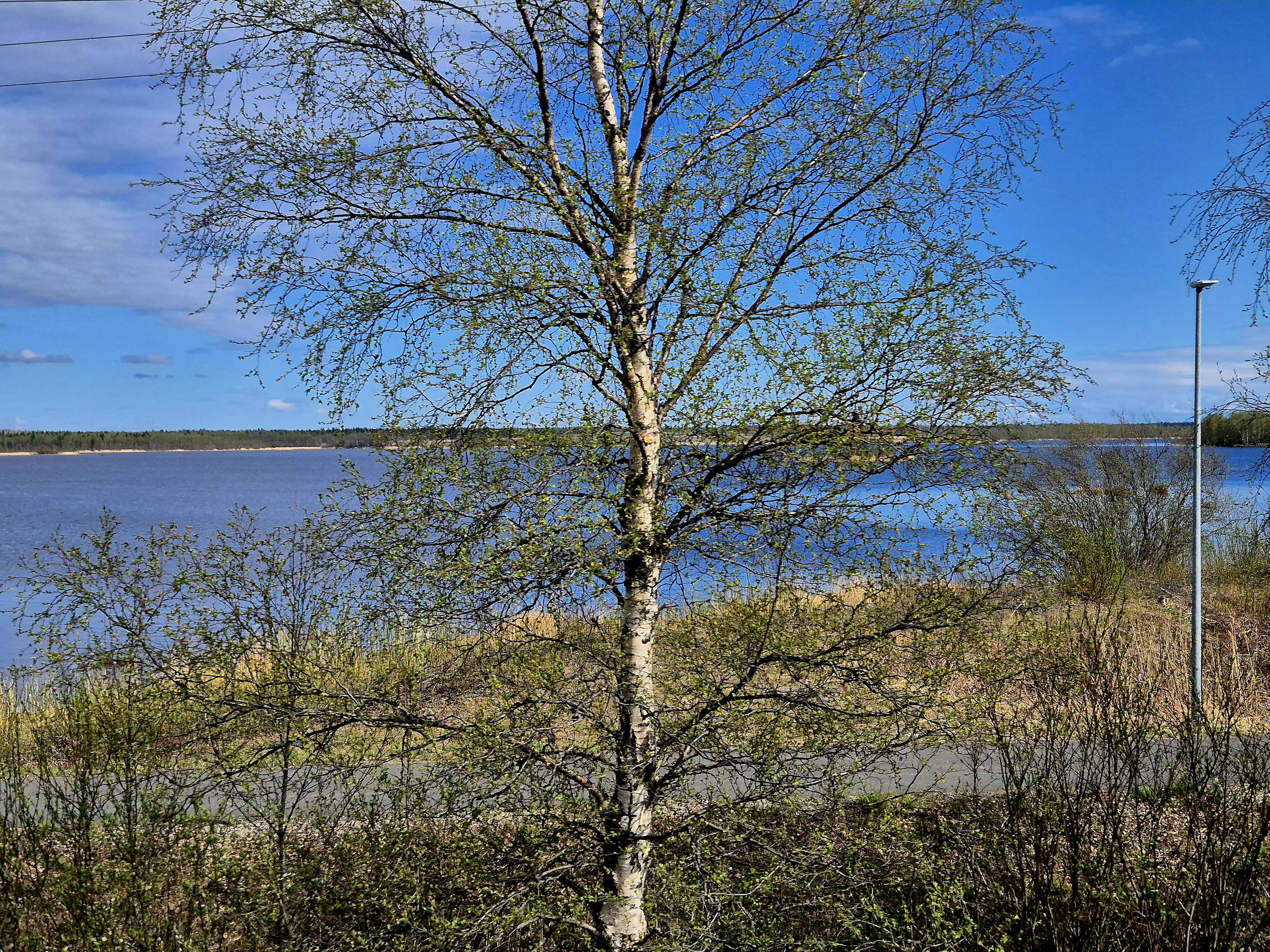 Fiume Kemijoki, Finlandia