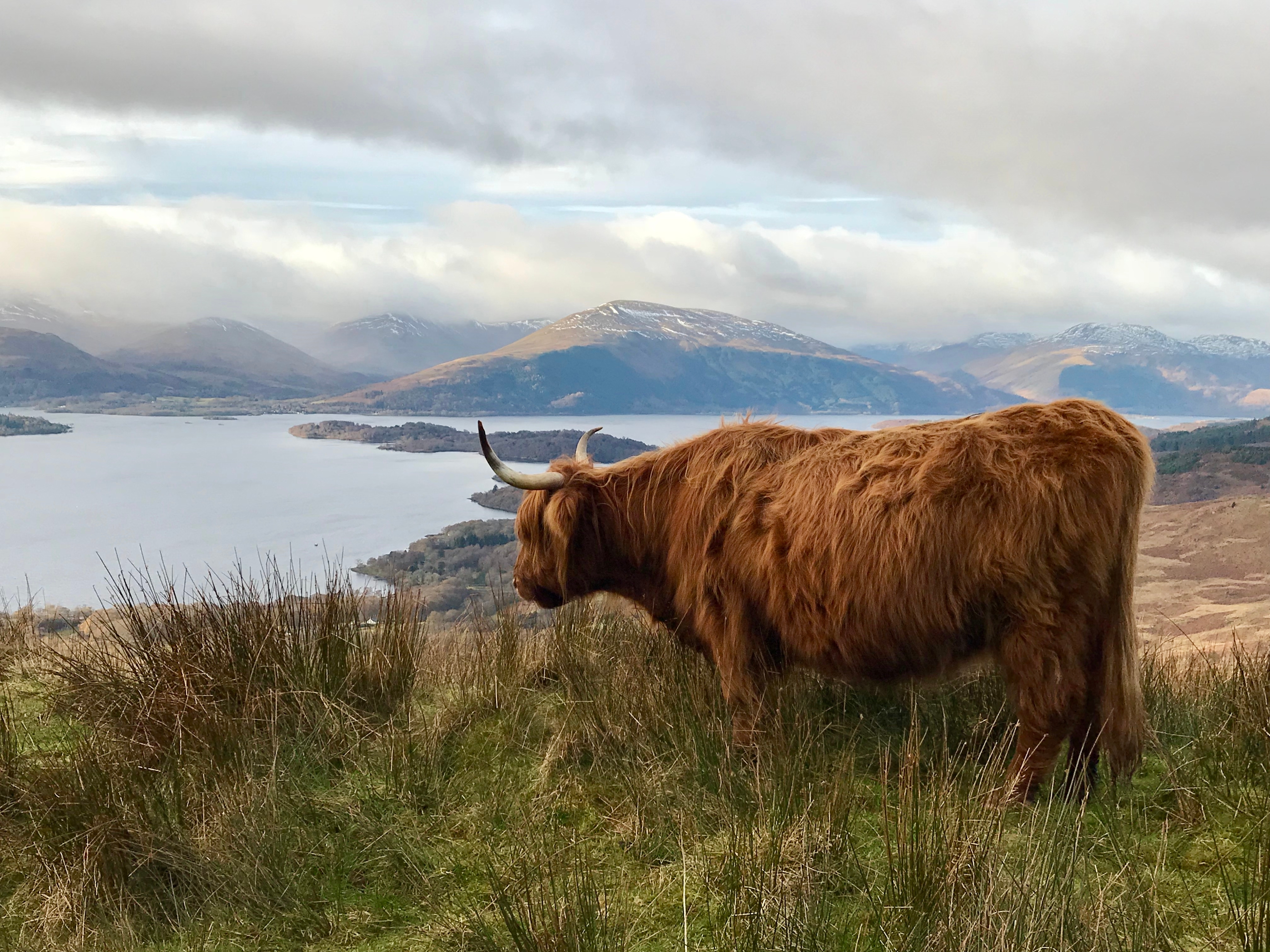 Loch Lomond