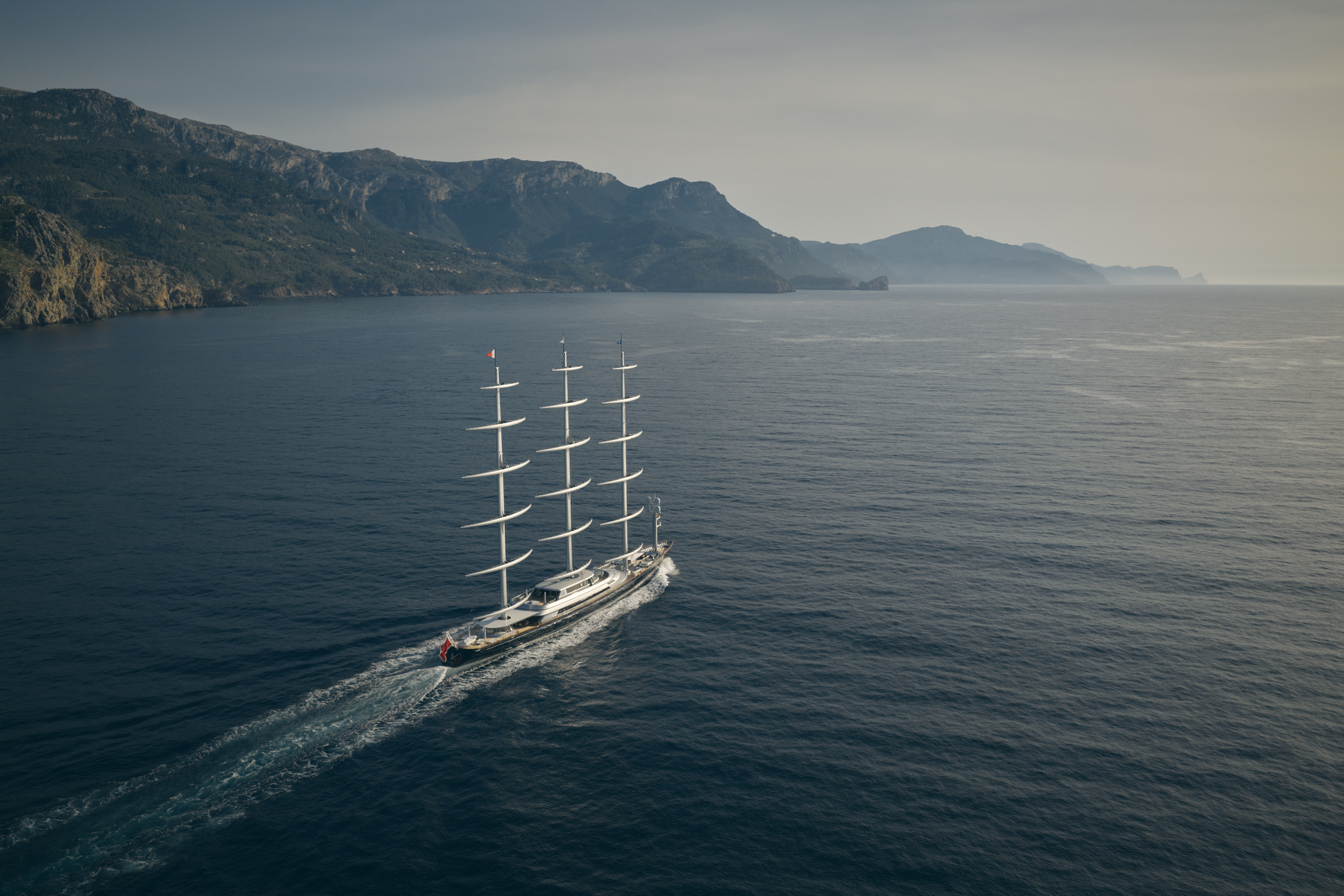 Maltese Falcon