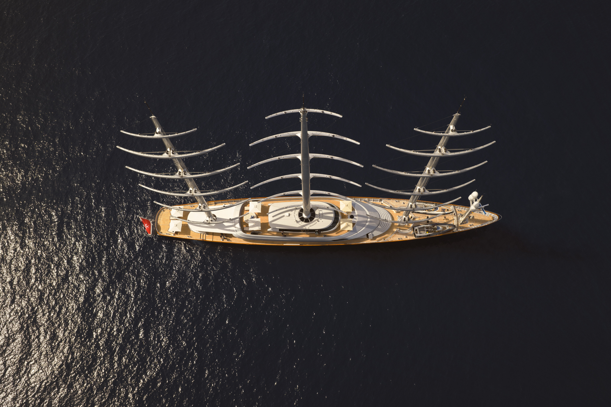 Maltese Falcon