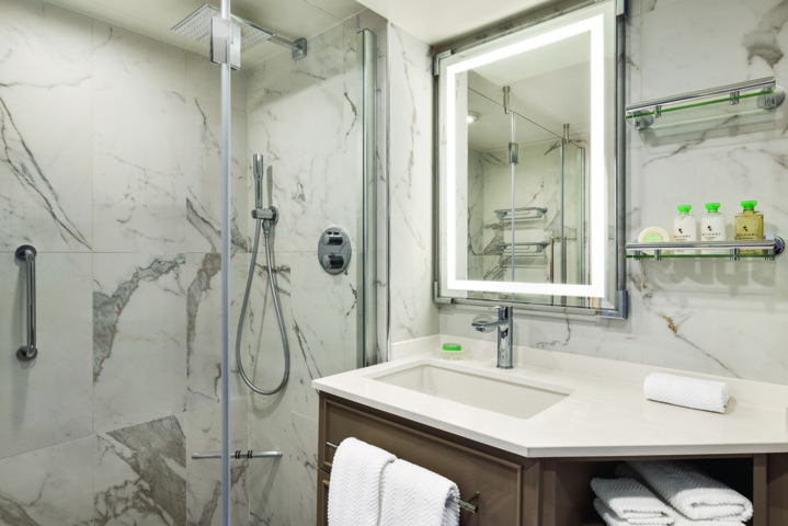 Veranda Stateroom Bathroom
