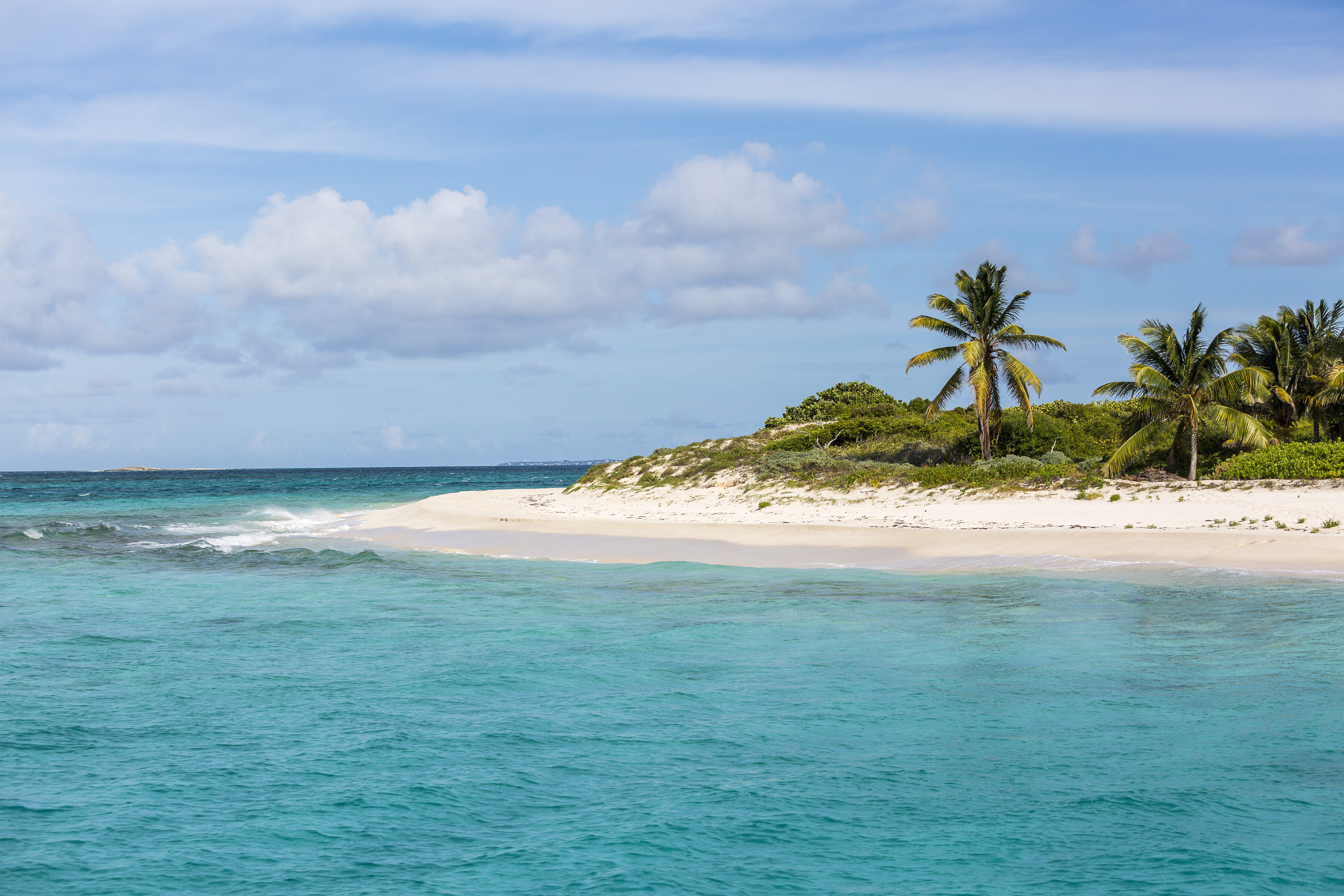 Prickly Pear Anguilla