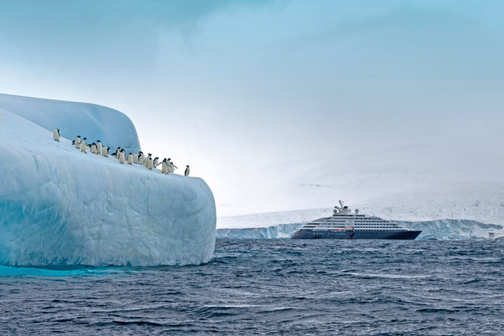 Scenic Eclipse in Antarctica Adélie penguins