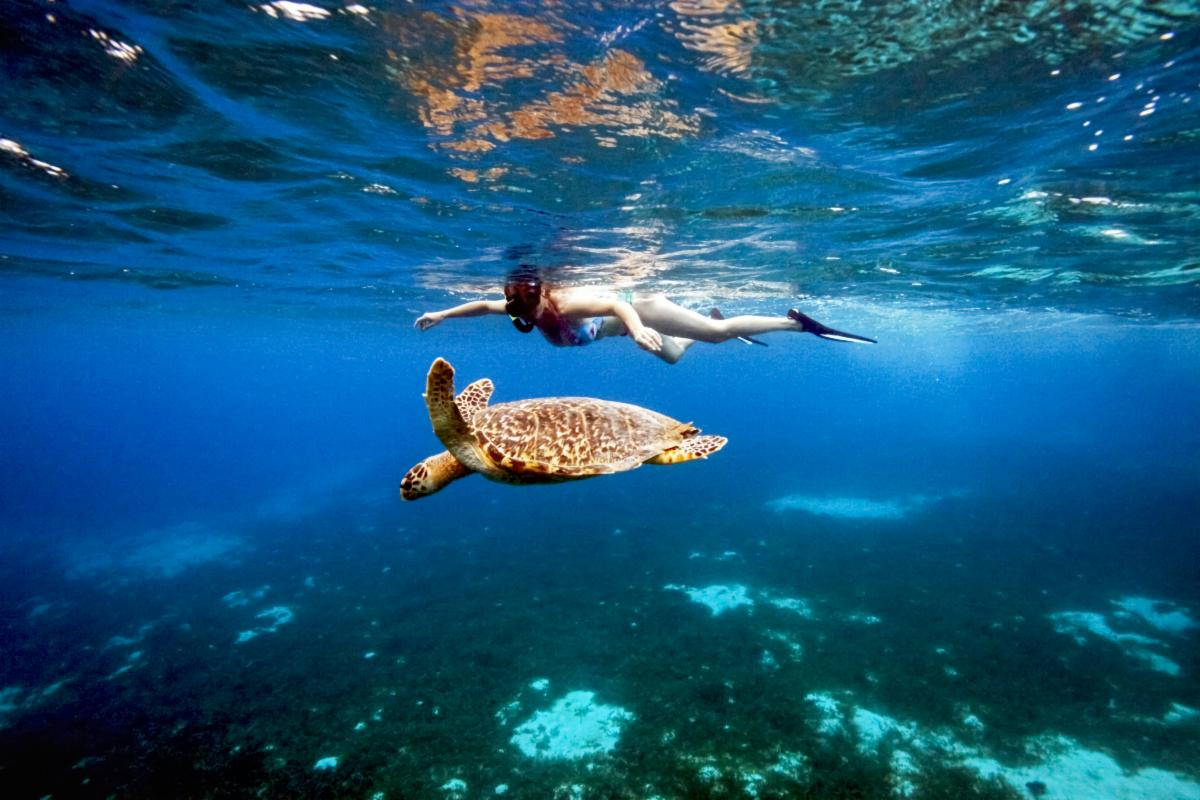 Snorkeling