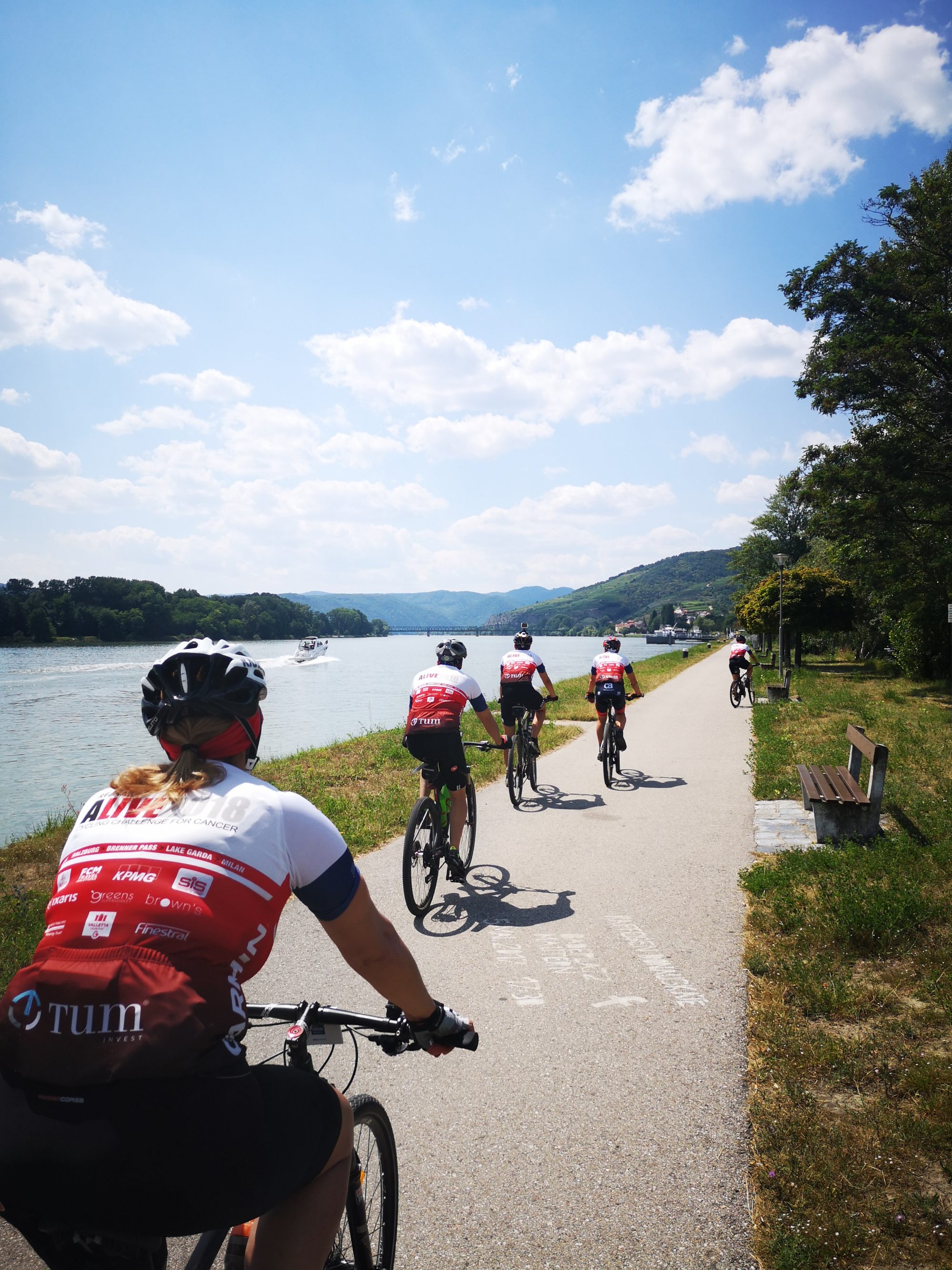 Cyclists along the Danube Cycle Path