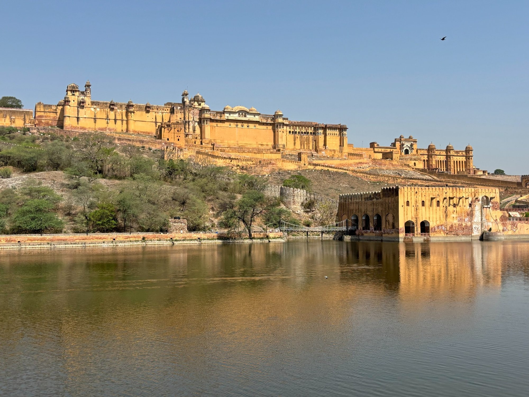 Jaipur Amer Fort