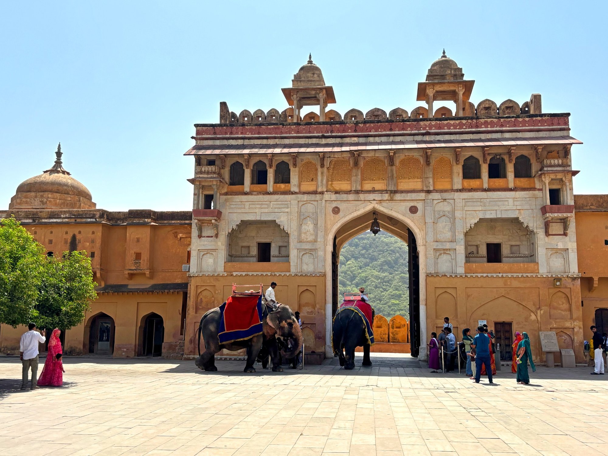 Jaipur Amer Fort
