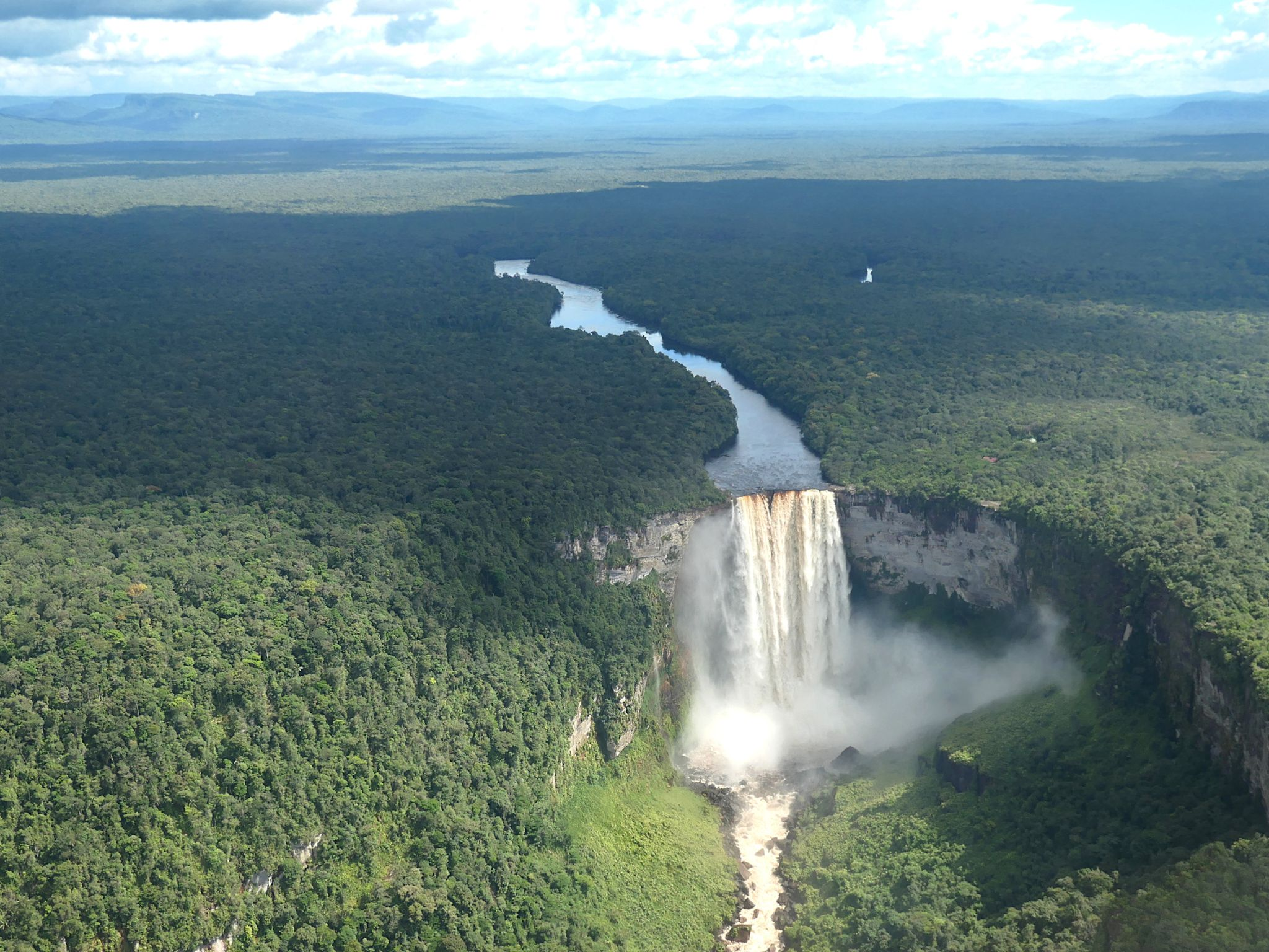 Guyana Rainforest