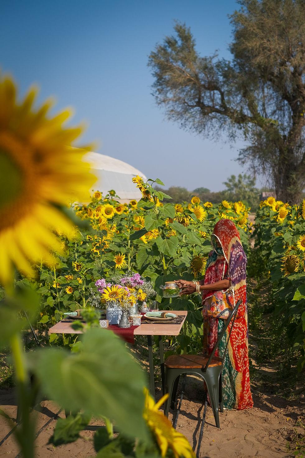 Life on the farm at Mharo Khet