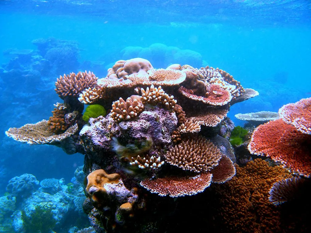 Cairns