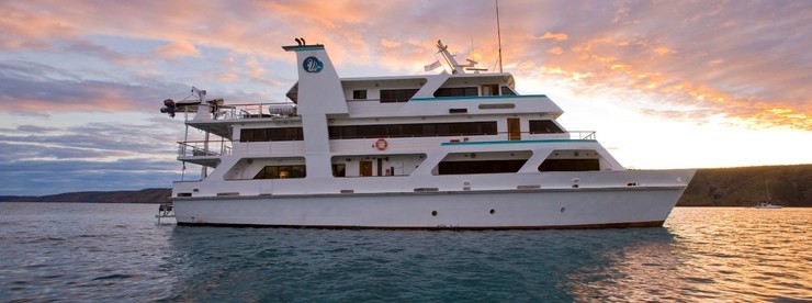 Coral Expeditions II